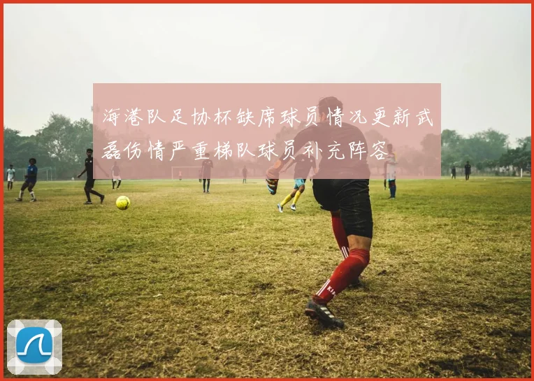 海港队足协杯缺席球员情况更新武磊伤情严重梯队球员补充阵容